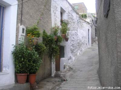 Calle Típica Calle Típica