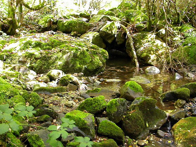 DSCN3229 DSCN3229