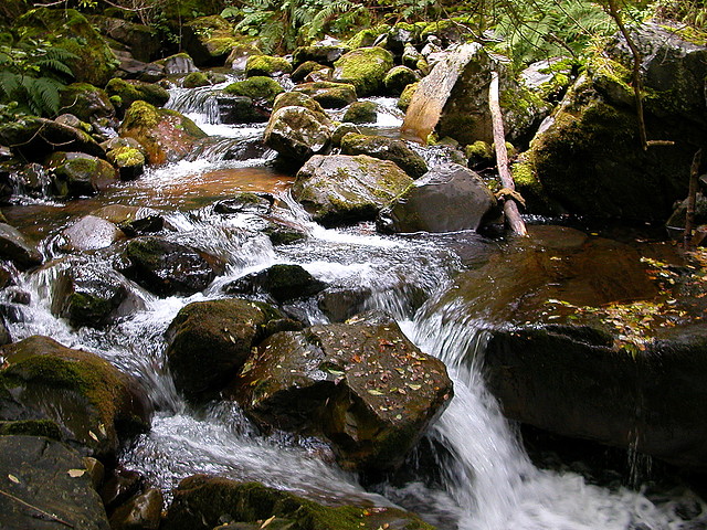 DSCN3228 DSCN3228