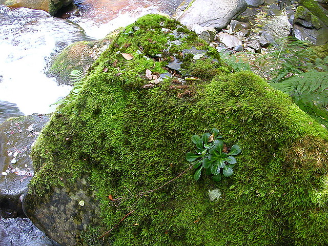 DSCN3231 DSCN3231