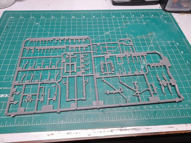 20250311_114517 20250311_114517