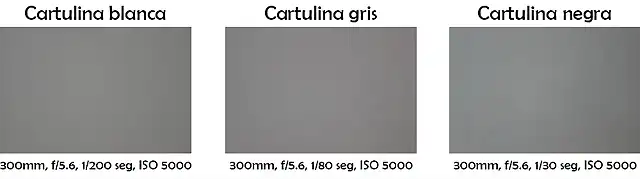 fotografias-cartulinas