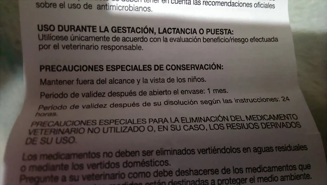 IMAG0396 IMAG0396