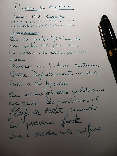 P1070539 P1070539