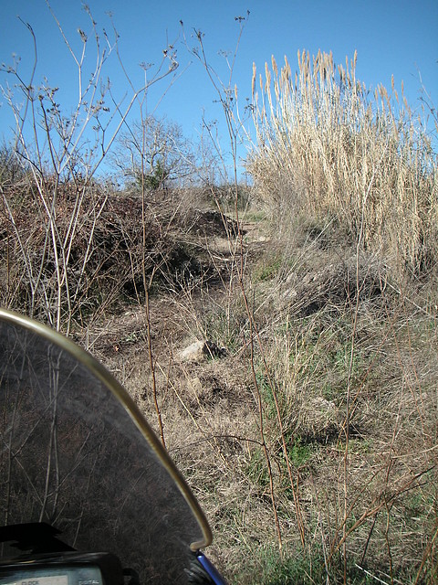 mtb olocau 035