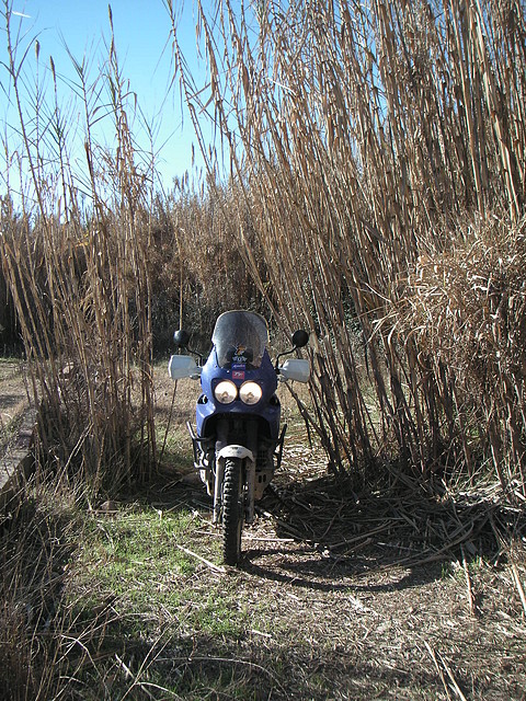mtb olocau 038