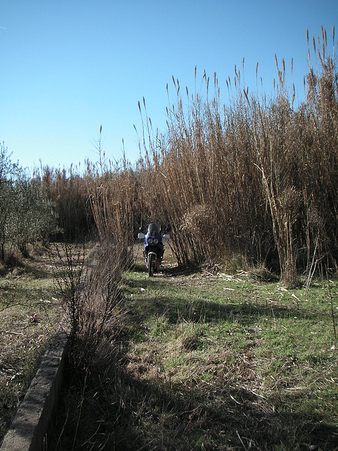 mtb olocau 039