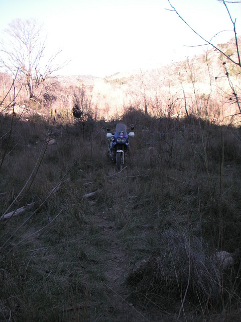 mtb olocau 033