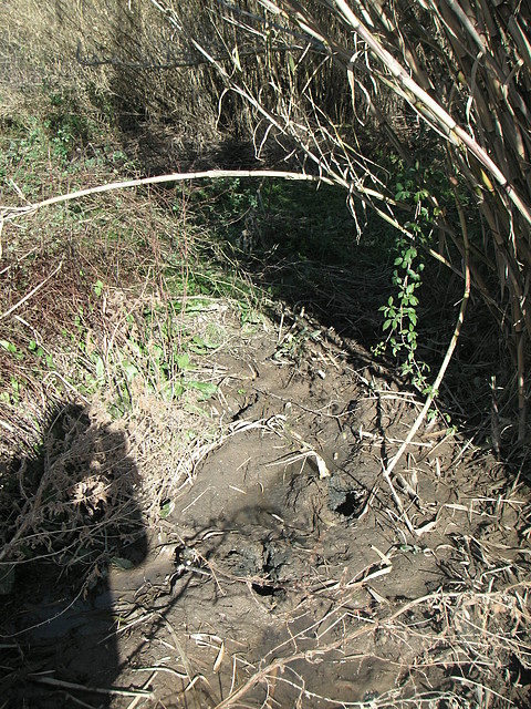 mtb olocau 040