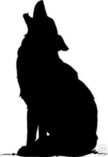 lobo_aullando_bn lobo_aullando_bn
