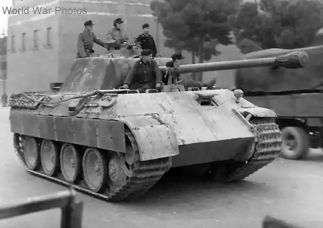 Panther_215_italy_44_2