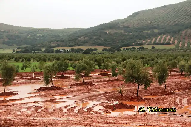 03, estacas en la vega 2, marca