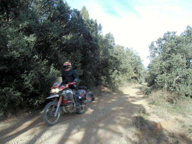 CIMG0688 CIMG0688