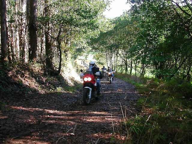 DSCN5486 DSCN5486