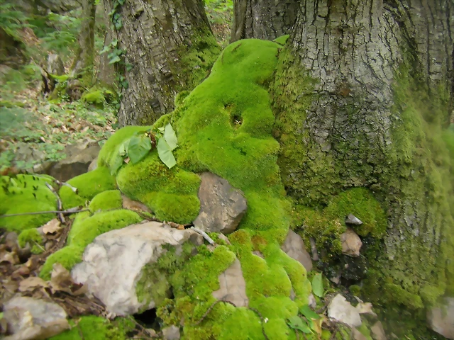 P6010236