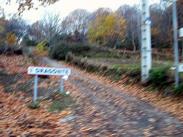 DSCN9685 DSCN9685