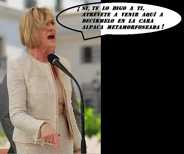 Evelyn Matthei contra Evo 2