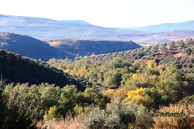 04, rio abajo, marca