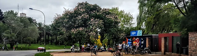 Libera tu bicicleta.