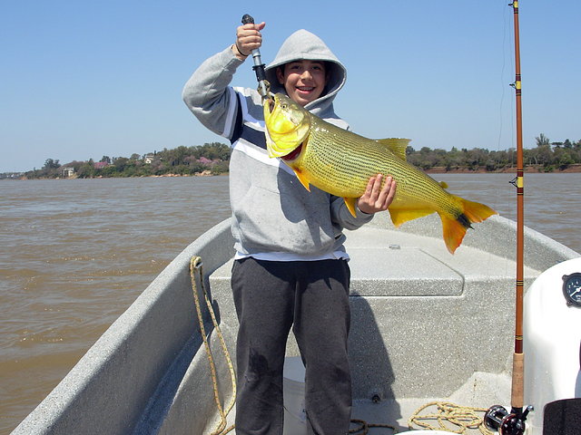 Nacho en Concordia