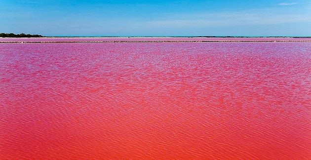 El-agua-roja-de-un-lago-en-Camargue