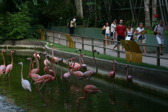 Zoo de Barcelona 01-08-2010 411 Zoo de Barcelona 01-08-2010 411