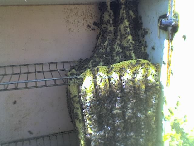 01-09-08_1326 01-09-08_1326