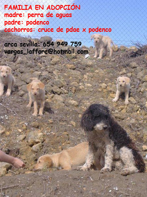 familia aguasxpodenco