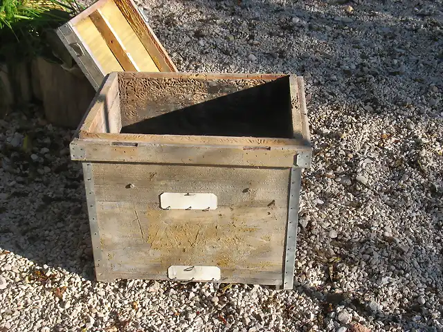 Noviembre 2012 abejas (24)