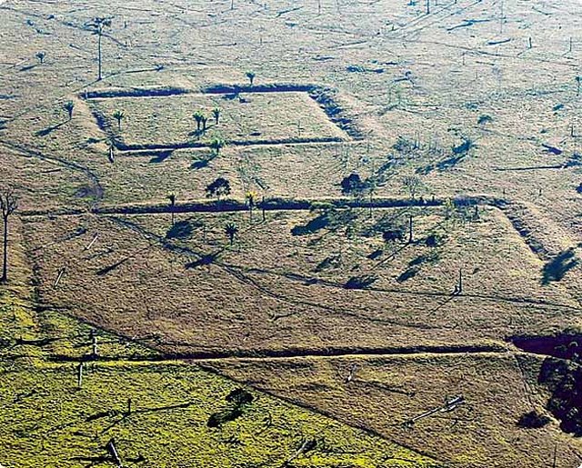 Civilizacion en el Amazonas