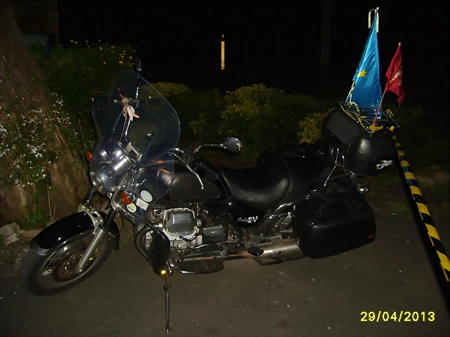 S6006155 S6006155