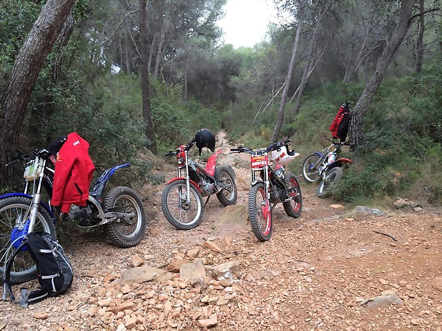1958121_10200882030332521_770578004_n 1958121_10200882030332521_770578004_n