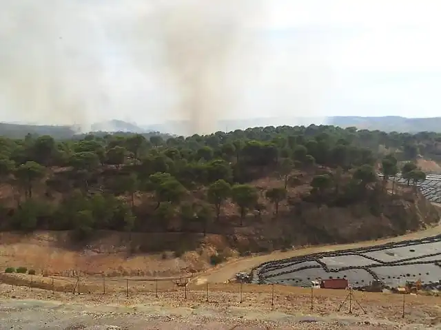 Incendio en Nerva proximo al vertedero-24.05