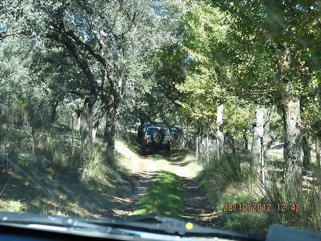 Bandoleros 4x4 046