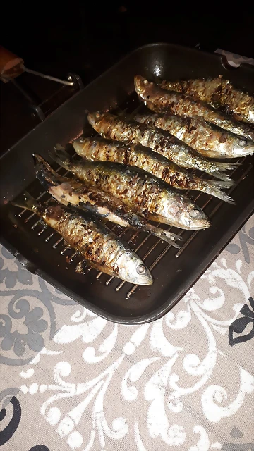 IMG-20180623-WA0037 IMG-20180623-WA0037