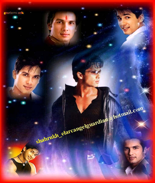 shahid kapoor gstv srk