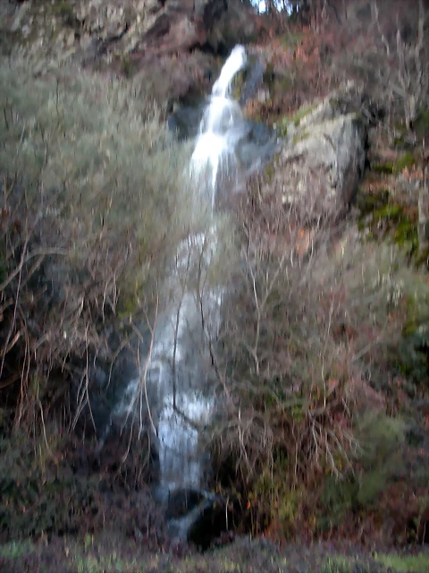 DSCN2590 DSCN2590