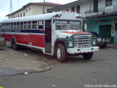 forestal mercado