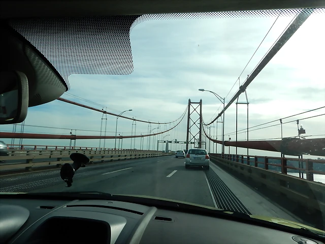 DSCN0505 DSCN0505