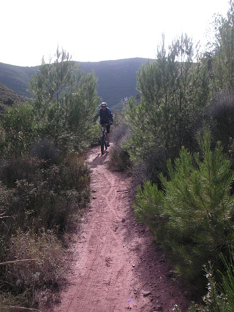 mtb olocau 023 mtb olocau 023