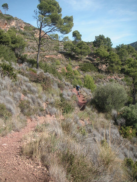 mtb olocau 028 mtb olocau 028