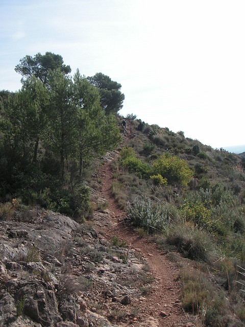 mtb olocau 034 mtb olocau 034