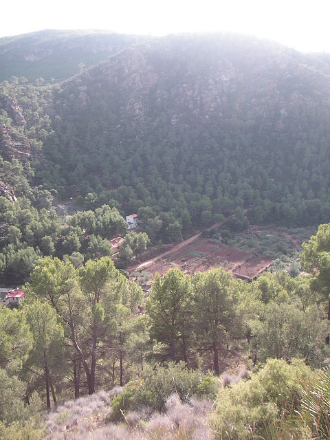 mtb olocau 029 mtb olocau 029