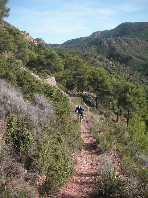mtb olocau 030 mtb olocau 030