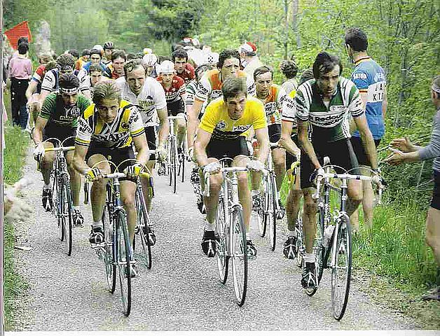 dauphine 1983