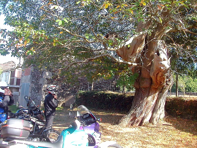 DSCN1945 DSCN1945