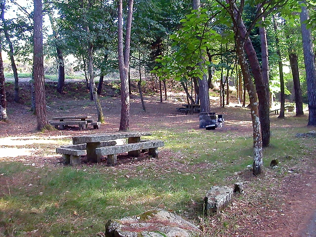 DSCN1961 DSCN1961