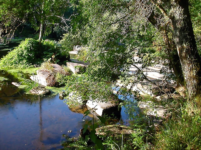 DSCN1981 DSCN1981