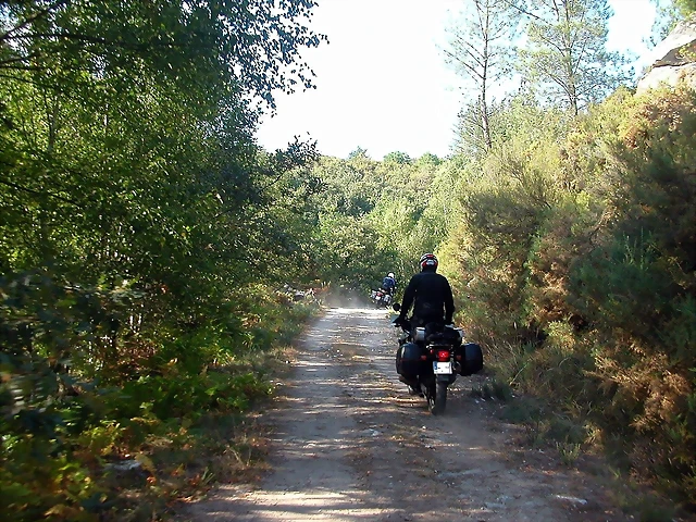 DSCN1965 DSCN1965