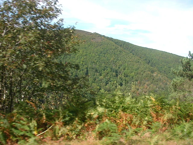 DSCN2039 DSCN2039
